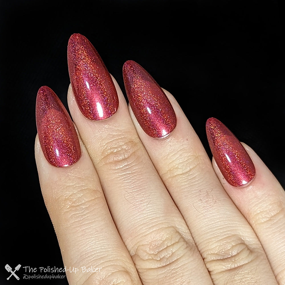 Did You Hear My Circus was in Town?