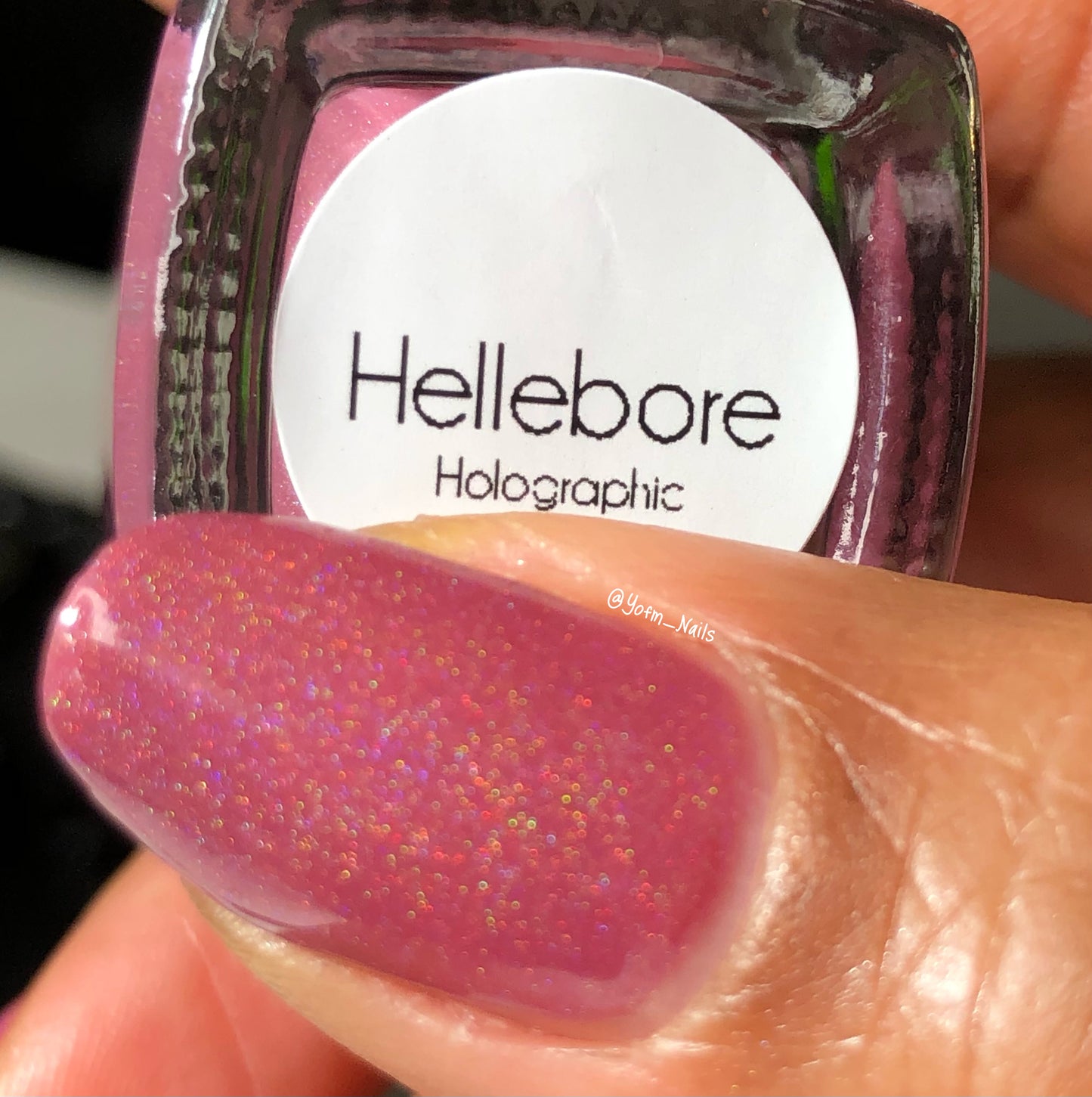 Hellebore Holo