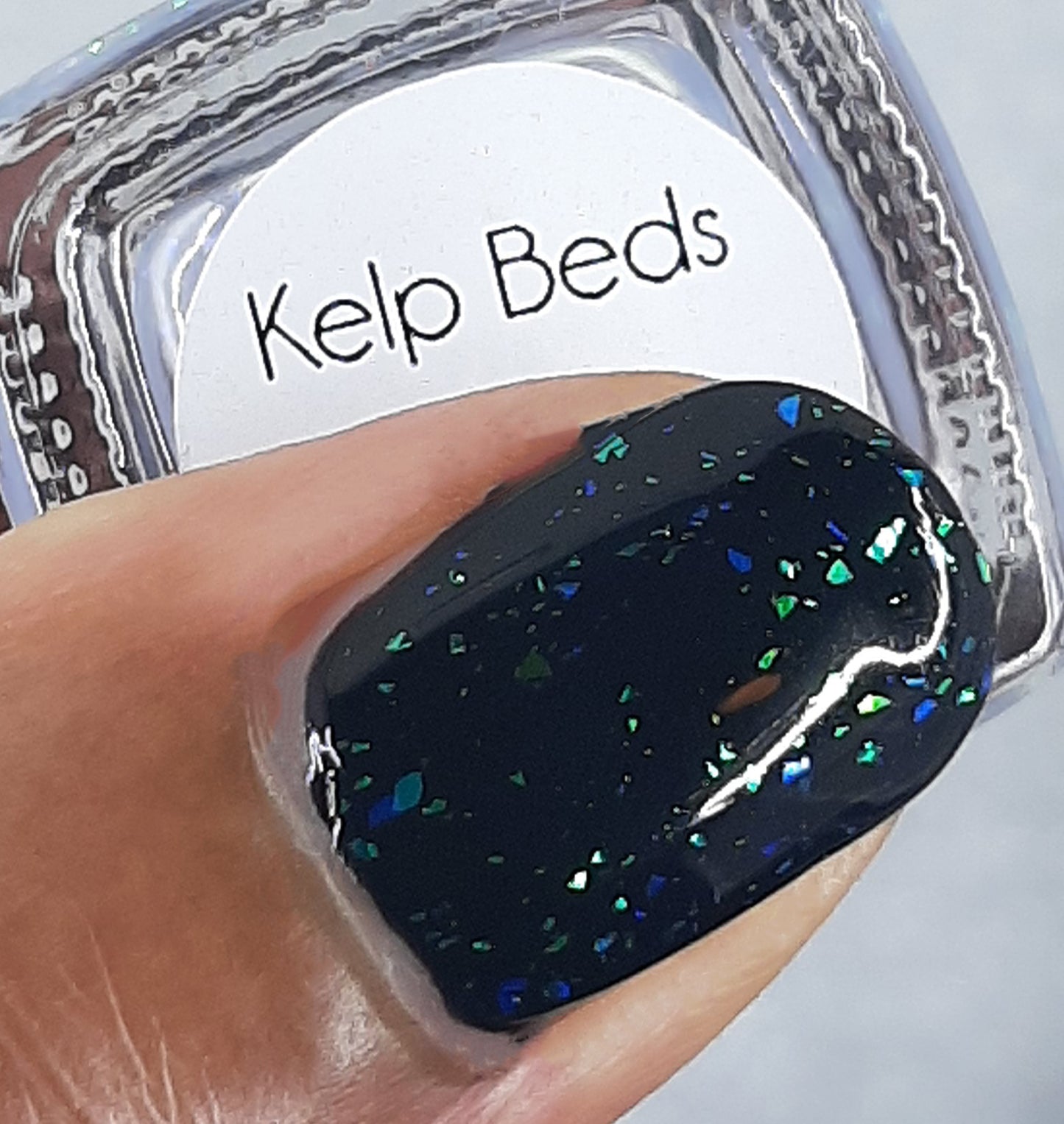 Kelp Beds