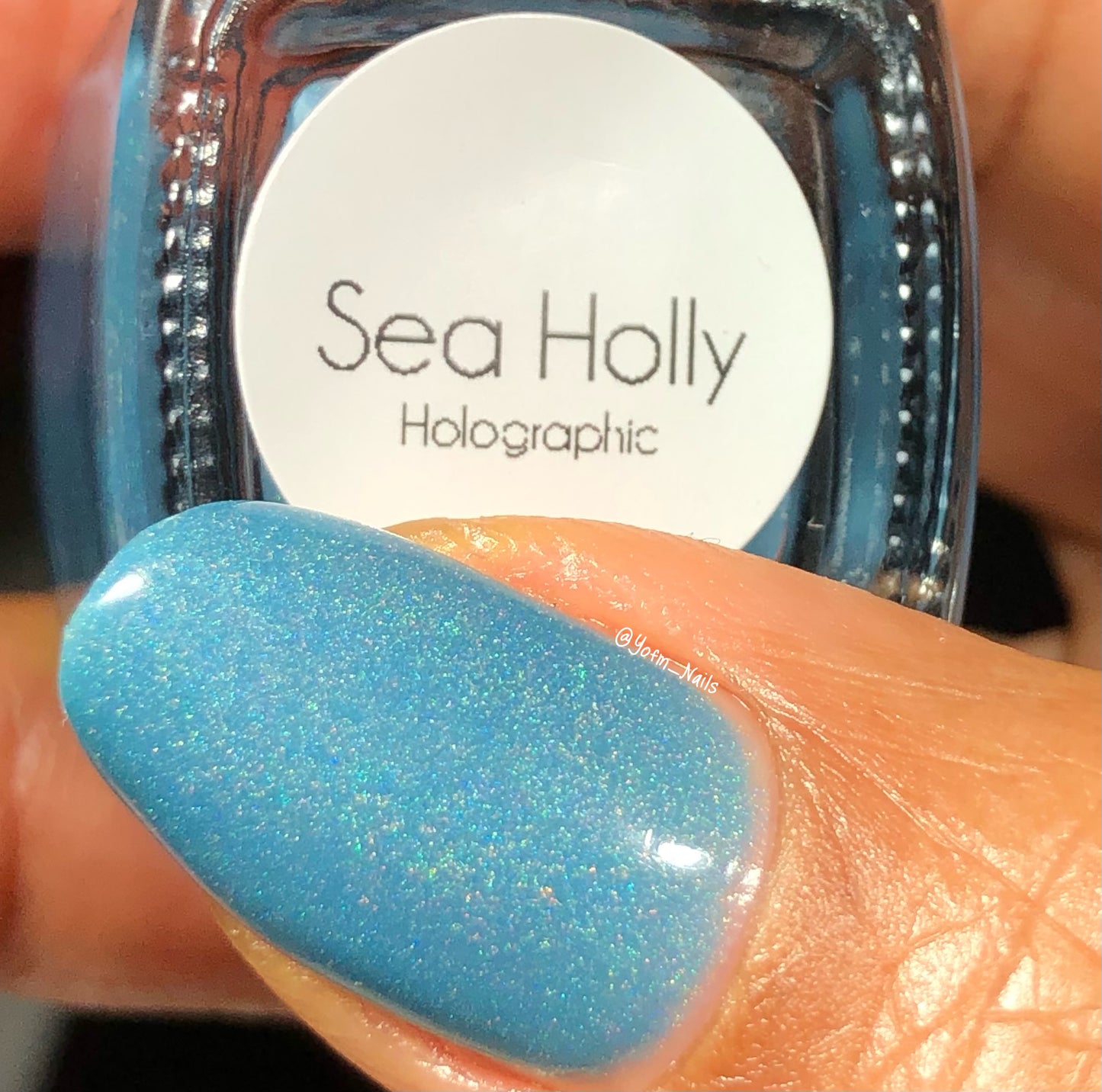 Sea Holly Holo