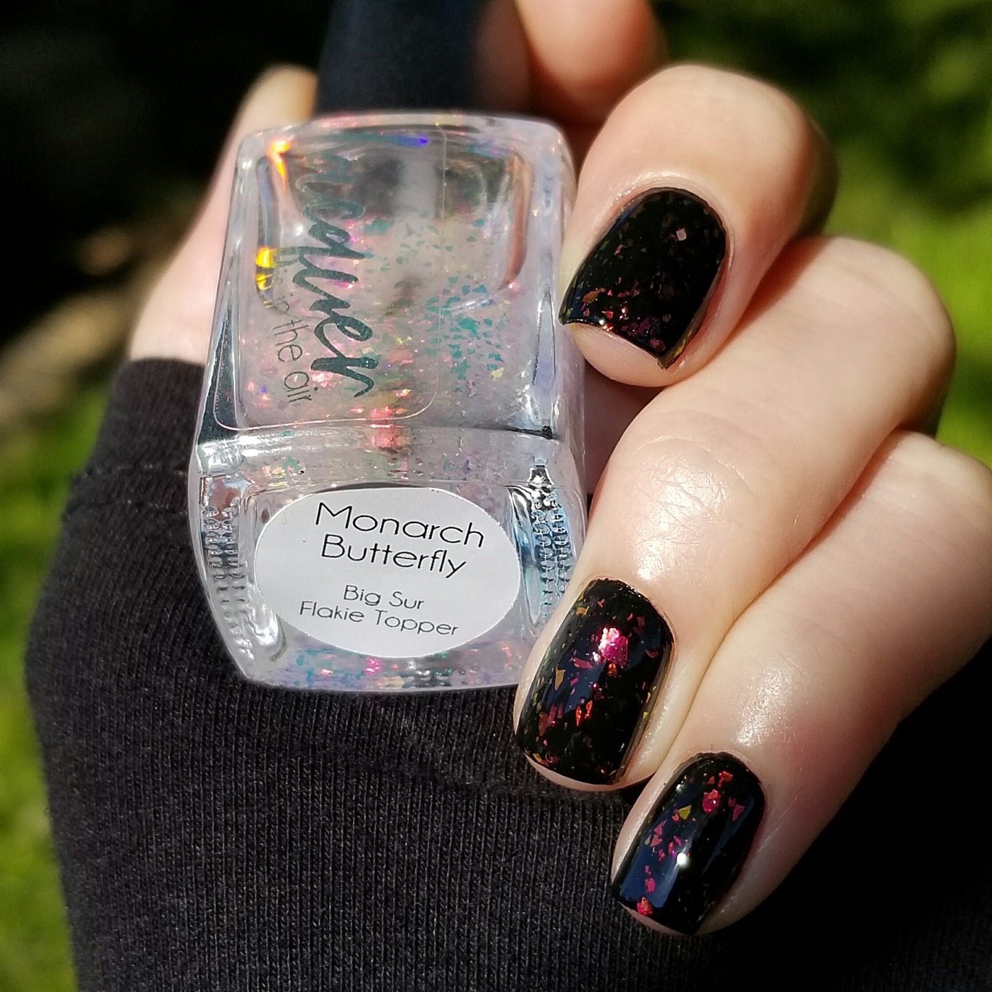 Monarch Butterfly