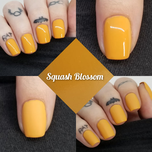 Squash Blossom
