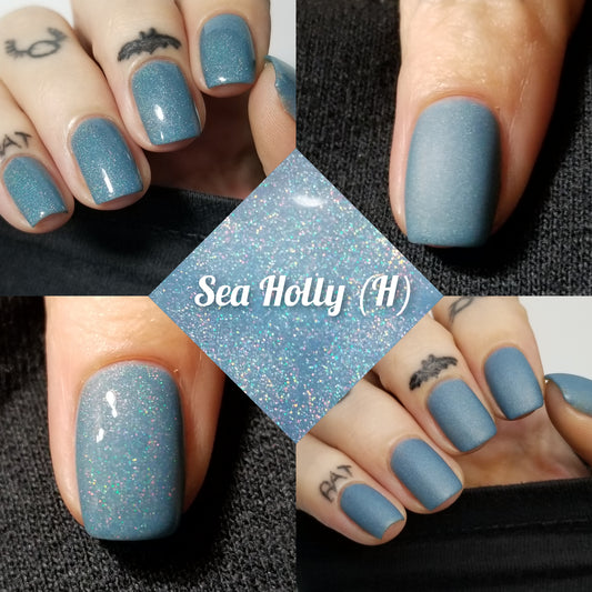 Sea Holly Holo